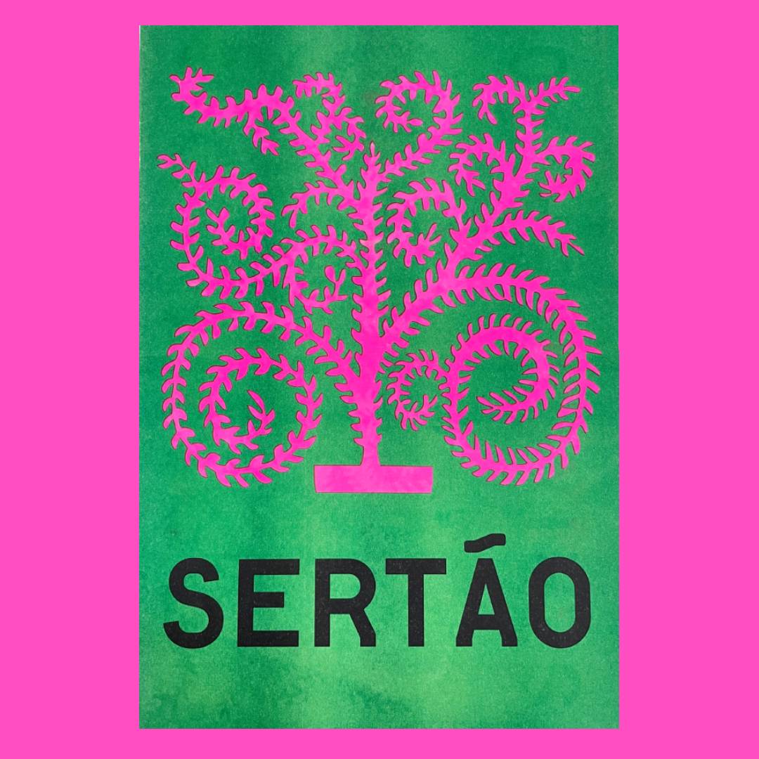 Visual Culture of Northeast Brazil 